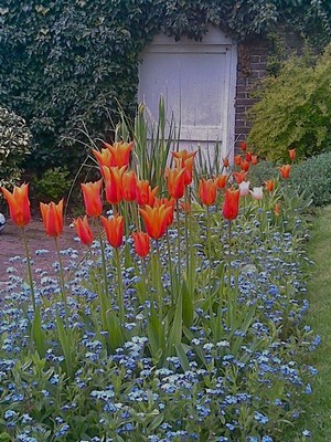 Bodhi gardens Kent and Sussex